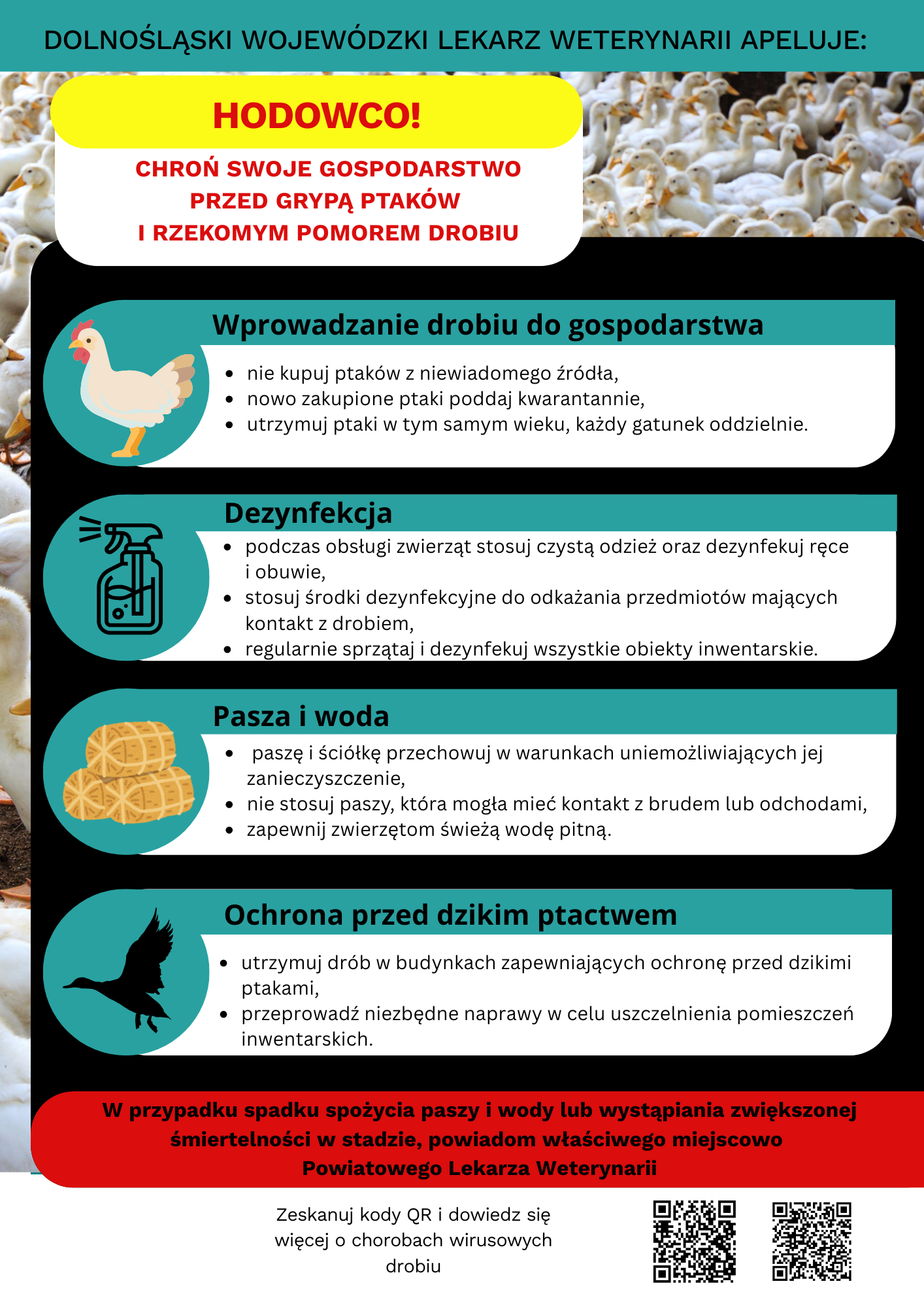 DOLNOŚLĄSKI WOJEWÓDZKI LEKARZ WETERYNARII APELUJE