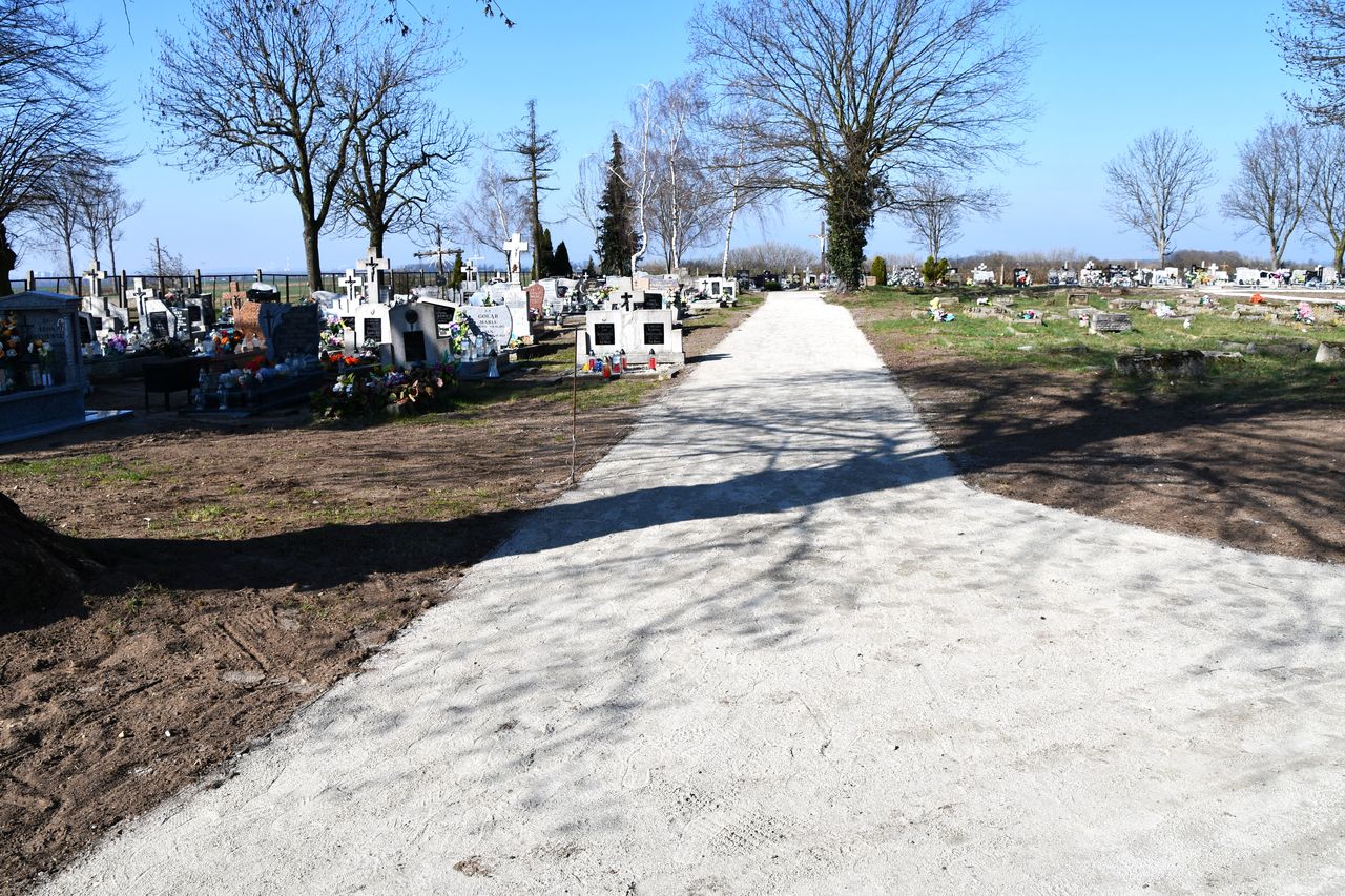 ścieżki na cmentarzu