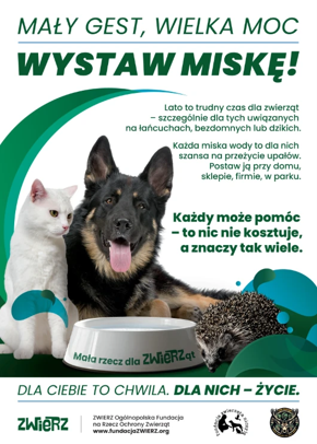 MAŁY GEST, WIELKA MOC WYSTAW MISKĘ 