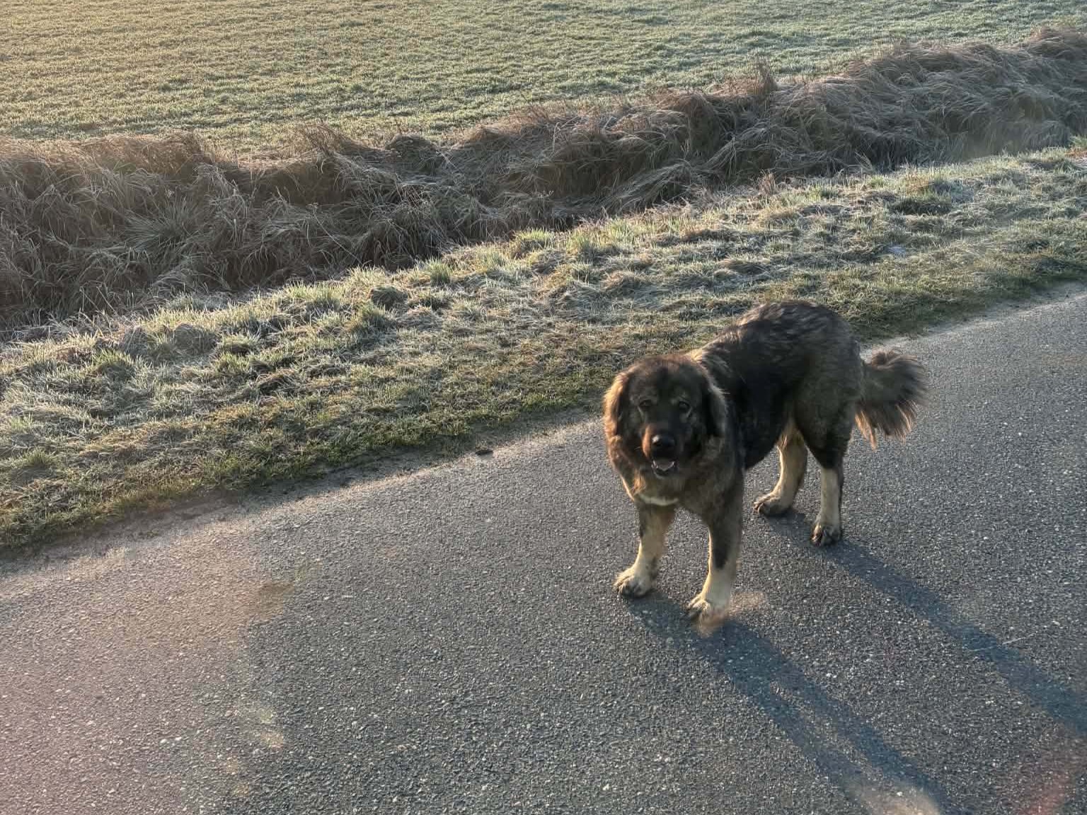 SZUKAMY WŁAŚCICIELA