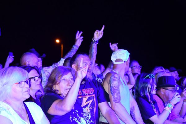 dsc-260646C177CA-C5CD-3B4E-4C0A-2E0854473752.jpg