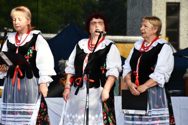 dsc-3717E26D490E-22A2-02D4-1227-0CCF1BB74841.jpg