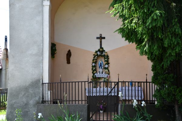 dsc-8900E37B8957-189E-A3C4-0041-0BFE0A39EB56.jpg