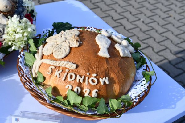dsc-611544B453A2-3DB0-39F5-EBA0-CA1E57606810.jpg