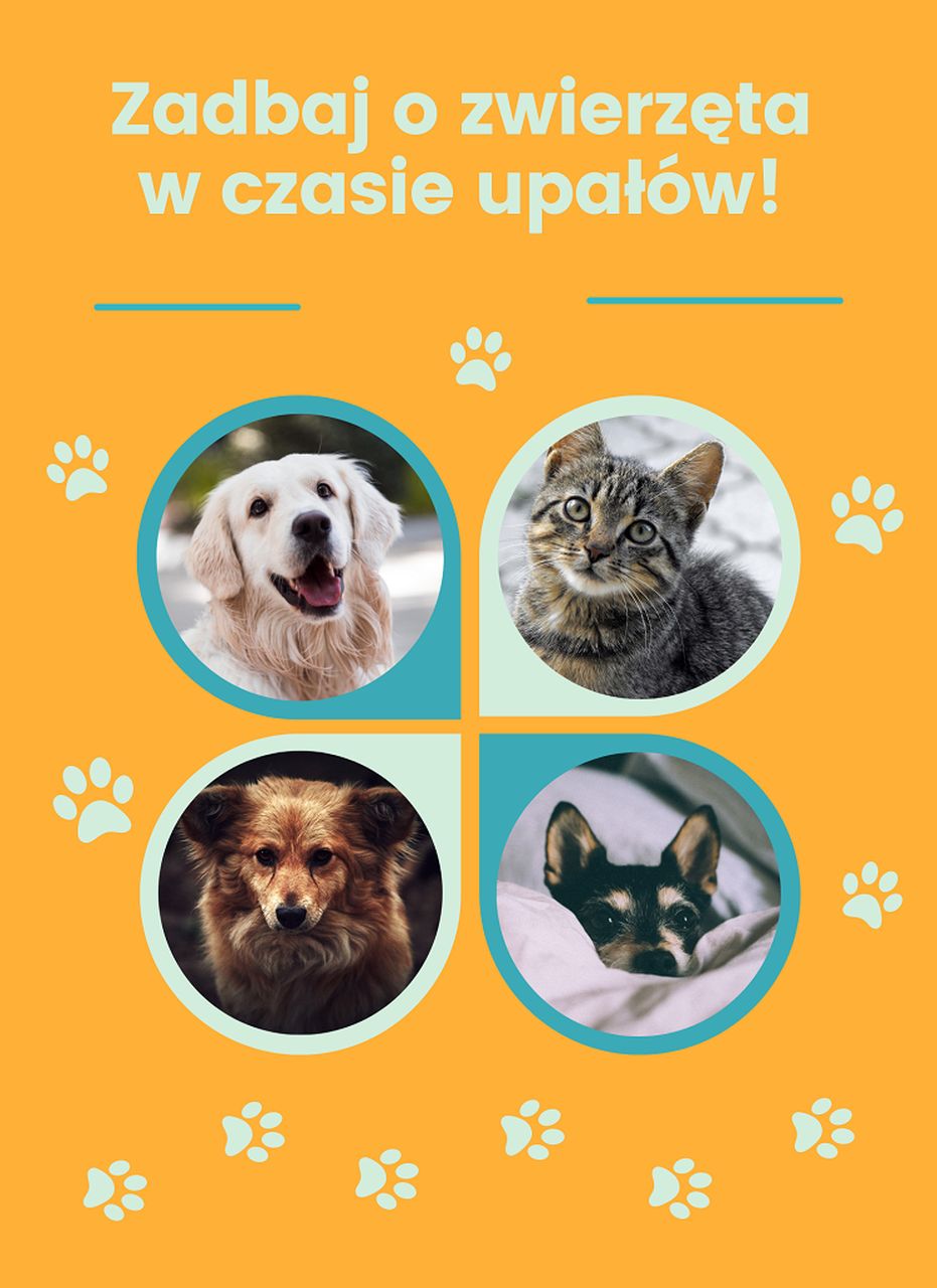 ZASADY OPIEKI NAD ZWIERZĘTAMI PODCZAS UPAŁÓW